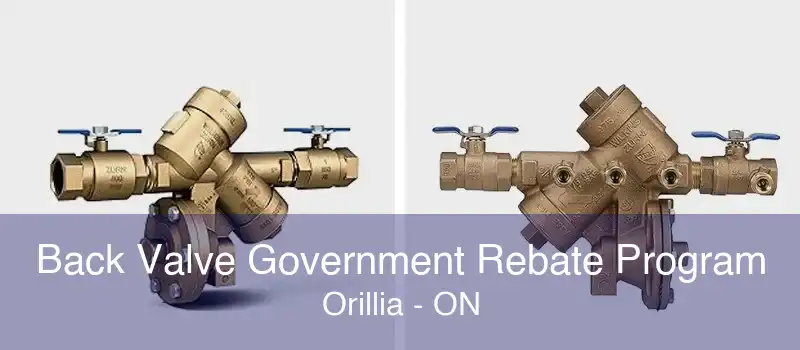 Back Valve Government Rebate Program Orillia - ON