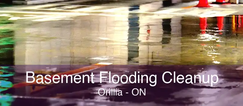 Basement Flooding Cleanup Orillia - ON