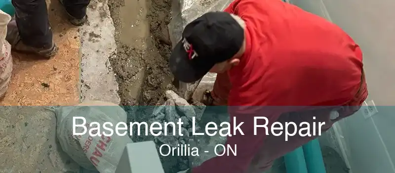 Basement Leak Repair Orillia - ON