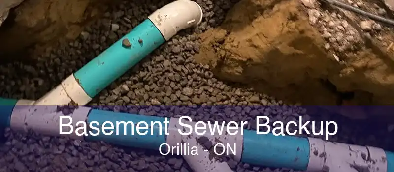 Basement Sewer Backup Orillia - ON