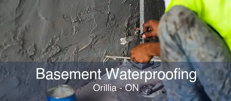 Basement Waterproofing Orillia - ON