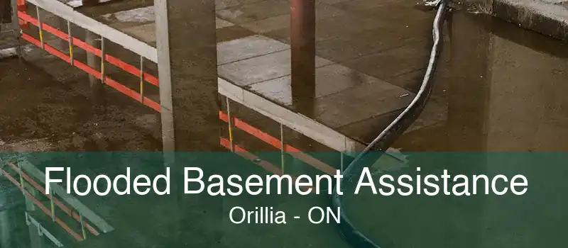 Flooded Basement Assistance Orillia - ON