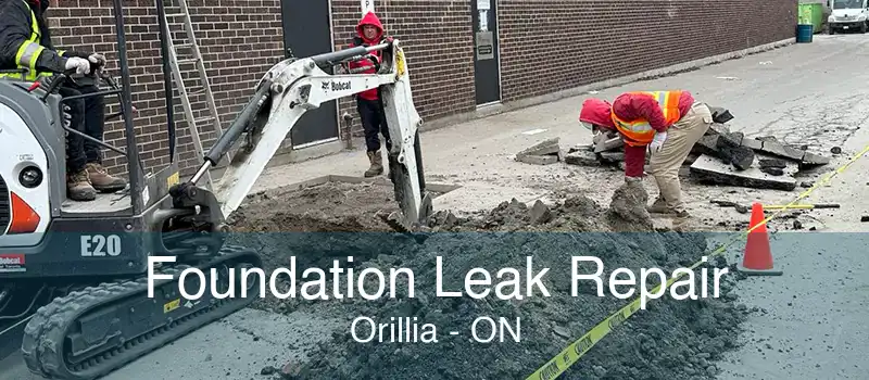 Foundation Leak Repair Orillia - ON