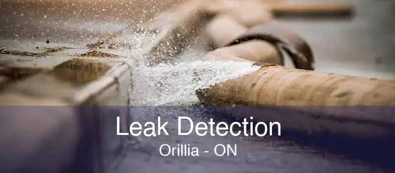 Leak Detection Orillia - ON