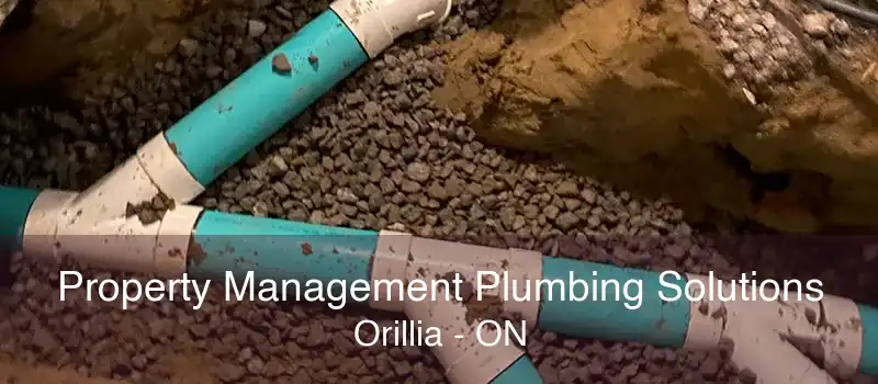 Property Management Plumbing Solutions Orillia - ON