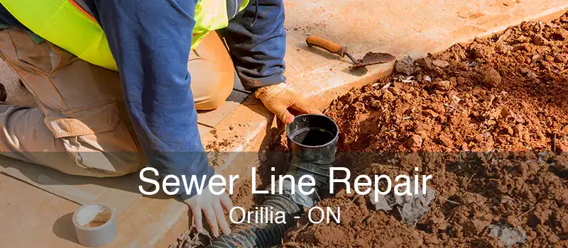 Sewer Line Repair Orillia - ON