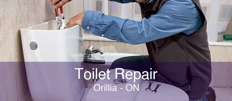 Toilet Repair Orillia - ON