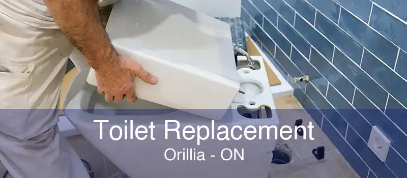 Toilet Replacement Orillia - ON