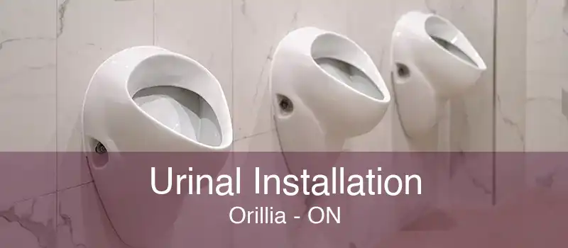 Urinal Installation Orillia - ON