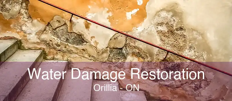 Water Damage Restoration Orillia - ON