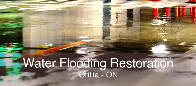 Water Flooding Restoration Orillia - ON