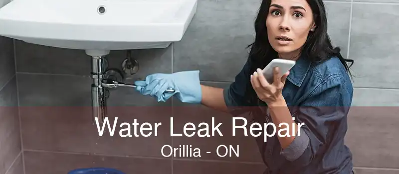 Water Leak Repair Orillia - ON