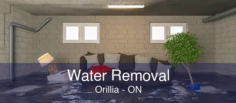 Water Removal Orillia - ON